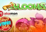 Akamon объявила о выпуске двух новых слотов – Dragon Egg и Wild Blooms
