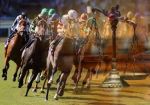 Churchill Downs подает в суд на Daily Racing Form за прием ставок на скачки