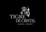 Tigre De Cristal откроется 8 октября и будет работать в тестовом режиме
