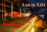 Louis XIII объявил о новогодней премии для сотрудников