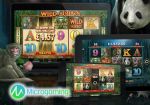 Microgaming запускает два новых игровых автомата