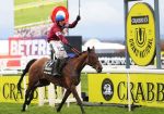 Ставка на скачках Grand National принесла Робби Уильямсу  $ 1 тыс.