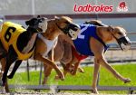 Букмекер Ladbrokes подписал эксклюзивное соглашение с SIS