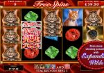 Microgaming представит игровой автомат Pretty Kitty