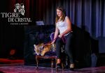 Символу казино Tigre de Cristal - тигрице Кристал нашли жениха