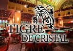 Казино Tigre de Cristal принимает свыше тысячи человек ежедневно