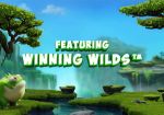 Microgaming выпустит новый 3D слот Dragonz