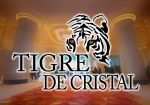 Успехи Tigre de Cristal в Приморской игорной зоне