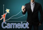 Camelot сообщает о рекордных сетевых продажах