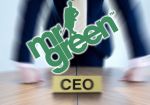 Mr Green назвала имя нового главы технологического подразделения