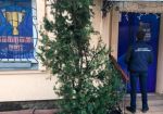 Полиция выявила нелегальную игорную сеть во Львовской области