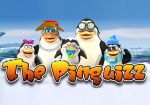 World Match выпустил новый игровой автомат Pinguizz HD