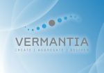 Компания Vermantia объявила о запуске e-Sports платформы
