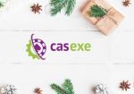 Компания CASEXE подводит итоги 2016 года