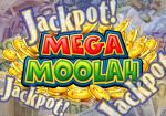 Игровой автомат Mega Moolah выплатил очередной прогрессивный джекпот
