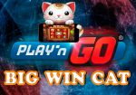 Play’n GO анонсировал новый игровой автомат – Big Win Cat