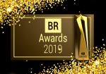В России объявлены победители премии BR Awards 2019