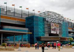 Мэр Торонто решил открывать казино на ипподроме Woodbine