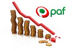 Прибыль компании Paf пострадала от инвестиций