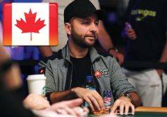 Даниэль Негреану: премьера документального фильма «Kid Poker» в Канаде и сериала «Four Kings»