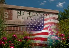 Ученые из Michigan State University выступили в поддержку легализации онлайн гемблинга