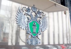 Прокуратура РФ в СФО отчиталась по борьбе с нелегальной игорной деятельностью