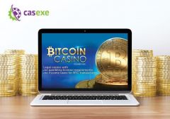 CASEXE провел бесплатный вебинар «Биткоин-казино – новый инструмент получения прибыли»