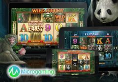 Microgaming запускает два новых игровых автомата