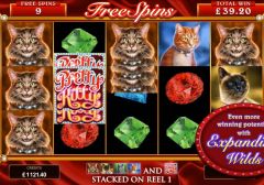 Microgaming представит игровой автомат Pretty Kitty
