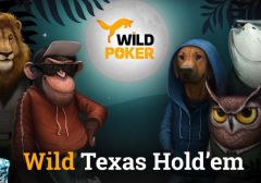 Playtrex выходит на рынок социального покера с игрой Wild Poker