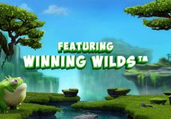 Microgaming выпустит новый 3D слот Dragonz