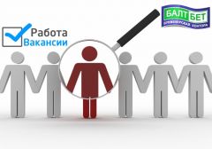 Букмекер «Балтбет» открыл вакансию разработчика