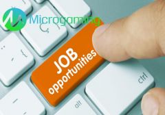 Компания Microgaming открыла вакансии на две должности