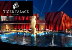 Tiger Palace Resort Casino откроется 30 ноября