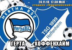 Герта - Хоффенхайм: прогноз на матч чемпионата Германии