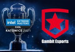 Россияне выиграли киберспортивные соревнования IEM Katowice 2021