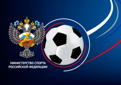 В Минспорта раскритиковали российских геймеров