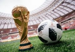 Португальские онлайн-букмекеры подсчитали прибыль от проведения ЧМ по футболу
