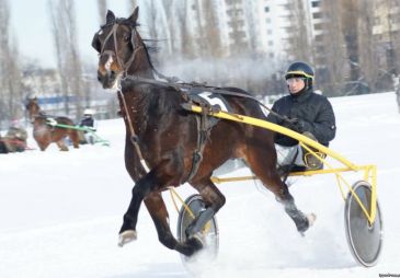 Зимние бега на ЦМИ: 24 января разыграют традиционные призы