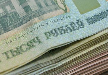 Бюджет Минской области пополнен на USD 229 тыс. в 2016 году