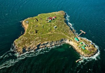 Саакашвили предложил открыть казино на острове Змеиный