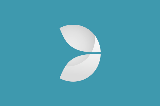 Evolution Gaming logo