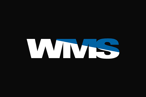 WMS лого